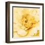 Yellow Peony-Danhui Nai-Framed Art Print