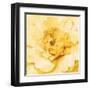 Yellow Peony-Danhui Nai-Framed Art Print