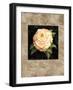 Yellow Peony-E. Lopez-Framed Art Print