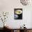 Yellow Pepper Cream Soup with Feta, Olives and Parsley-Maja Smend-Stretched Canvas displayed on a wall