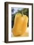 Yellow Pepper on Table in Open Air-Foodcollection-Framed Photographic Print