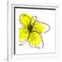 Yellow Petals 1-Jan Weiss-Framed Art Print