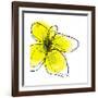 Yellow Petals 1-Jan Weiss-Framed Art Print