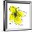 Yellow Petals 1-Jan Weiss-Framed Art Print