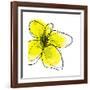 Yellow Petals 1-Jan Weiss-Framed Art Print