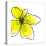 Yellow Petals 1-Jan Weiss-Stretched Canvas