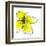 Yellow Petals 1-Jan Weiss-Framed Art Print