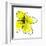 Yellow Petals 1-Jan Weiss-Framed Art Print