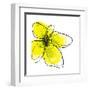 Yellow Petals 1-Jan Weiss-Framed Art Print