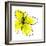 Yellow Petals 1-Jan Weiss-Framed Art Print