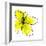 Yellow Petals 1-Jan Weiss-Framed Art Print