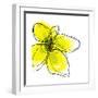 Yellow Petals 1-Jan Weiss-Framed Art Print