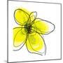 Yellow Petals 1-Jan Weiss-Mounted Art Print
