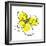 Yellow Petals 2-Jan Weiss-Framed Art Print