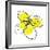 Yellow Petals 2-Jan Weiss-Framed Art Print