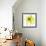 Yellow Petals 3-Jan Weiss-Framed Art Print displayed on a wall