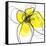 Yellow Petals 3-Jan Weiss-Framed Stretched Canvas