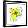 Yellow Petals 4-Jan Weiss-Framed Art Print