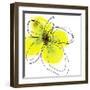 Yellow Petals Four-Jan Weiss-Framed Art Print