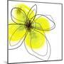 Yellow Petals Four-Jan Weiss-Mounted Art Print