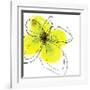 Yellow Petals Four-Jan Weiss-Framed Art Print