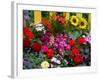 Yellow Picket Fence with Garden of Sunflowers, Delphnium, Zinnia, and Geranium-Darrell Gulin-Framed Photographic Print