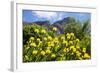 Yellow Pincushion Flowers-ZambeziShark-Framed Photographic Print