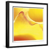 Yellow Pink Rose Abstract No 19-Shams Rasheed-Framed Giclee Print