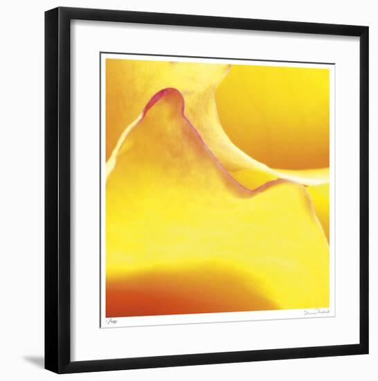 Yellow Pink Rose Abstract No 19-Shams Rasheed-Framed Giclee Print