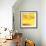 Yellow Pink Rose Abstract No 19-Shams Rasheed-Framed Giclee Print displayed on a wall