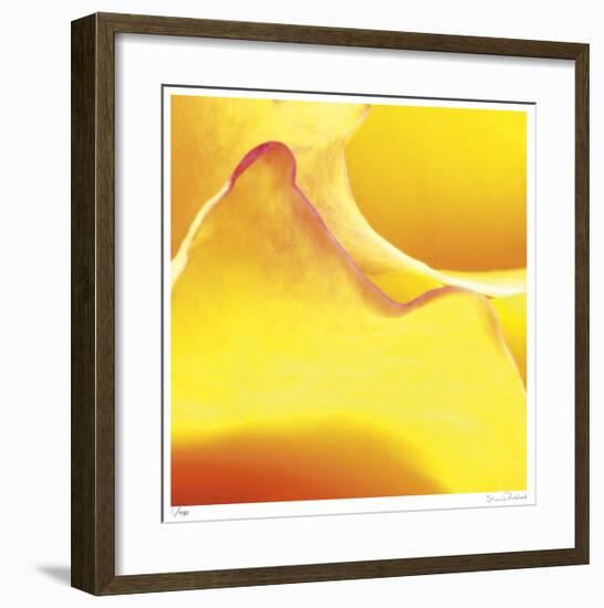 Yellow Pink Rose Abstract No 19-Shams Rasheed-Framed Giclee Print