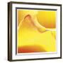 Yellow Pink Rose Abstract No 19-Shams Rasheed-Framed Giclee Print