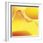 Yellow Pink Rose Abstract No 19-Shams Rasheed-Framed Giclee Print