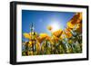 Yellow Poppies in A Texas Vineyard-Dean Fikar-Framed Photographic Print