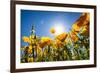 Yellow Poppies in A Texas Vineyard-Dean Fikar-Framed Photographic Print