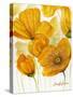 Yellow Poppies-Cherie Roe Dirksen-Stretched Canvas