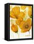 Yellow Poppies-Cherie Roe Dirksen-Framed Stretched Canvas