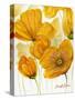 Yellow Poppies-Cherie Roe Dirksen-Stretched Canvas