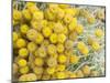 Yellow Puff Balls-George Johnson-Mounted Photographic Print