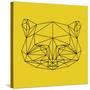 Yellow Raccoon Polygon-Lisa Kroll-Stretched Canvas