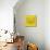 Yellow Raccoon Polygon-Lisa Kroll-Mounted Art Print displayed on a wall