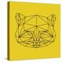 Yellow Raccoon Polygon-Lisa Kroll-Stretched Canvas