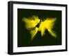 Yellow Radiant World Map-NaxArt-Framed Art Print