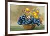 Yellow Ranunculus and Bluebells-null-Framed Art Print