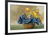 Yellow Ranunculus and Bluebells-null-Framed Art Print