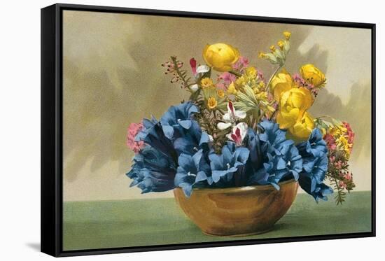 Yellow Ranunculus and Bluebells-null-Framed Stretched Canvas