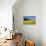 Yellow Rape Fields, Canola Fields, Wiltshire, England Against a Blue Sky-David Clapp-Photographic Print displayed on a wall