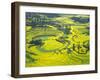 Yellow Rape Flowers Cover Qianqiou Terraces, China-Charles Crust-Framed Premium Photographic Print