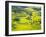 Yellow Rape Flowers Cover Qianqiou Terraces, China-Charles Crust-Framed Premium Photographic Print