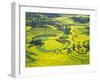 Yellow Rape Flowers Cover Qianqiou Terraces, China-Charles Crust-Framed Premium Photographic Print